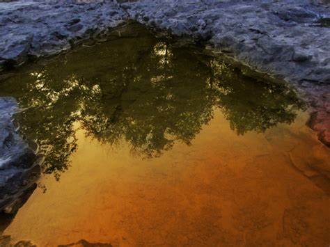 Gambar Laut Pohon Air Alam Batu Abstrak Sinar Matahari