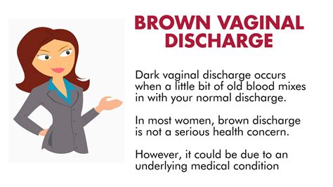 vaginal brown discharge causes and concerns infographic my xxx hot girl