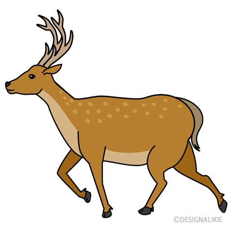 Clipart Deer Pictures 10 Free Cliparts Download Images On Clipground 2024