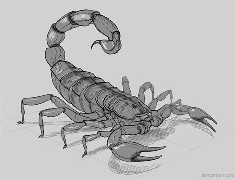 Free Scorpion Drawing Cliparts Download Free Scorpion Drawing Cliparts