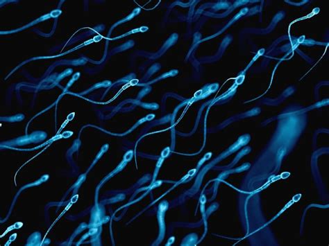 Conteo Celular Y Vitalidad De Esperma Controllab