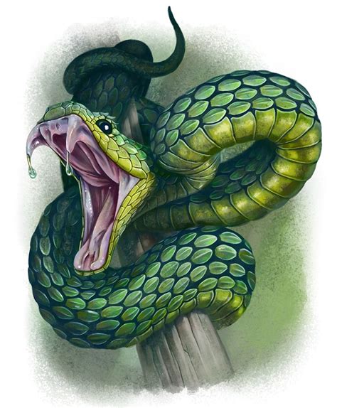 Viper By Deanspencerart On Deviantart Snake Drawing Snake Sketch