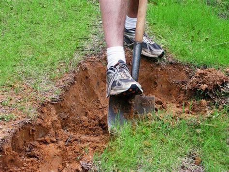 Man Digging A Hole Free Stock Photo By Val Lawless On Stockvault Net