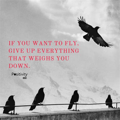 If You Want To Fly Give Up Everything That Weighs You Down Positivitynote Positivity Notes