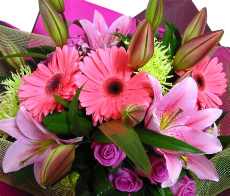 Cleaning fans praised carolina for her simple trick, praising her in the comments, as well as sharing tips of their own. Flower Delivery Perth | Elegant Floral Bouquet same day ...