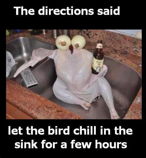 Thanksgiving Meme Directions Said Let The Bird Chill In