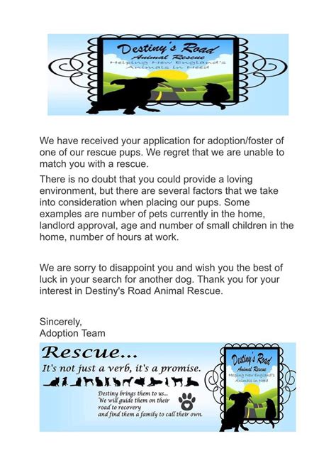 Tessie is now available for adoption! Destiny's Road Animal Rescue - Pet Adoption - Springfield ...