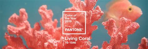 Popular 29 Pantone Color Of The Year 2019
