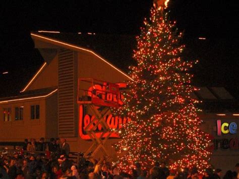 Stew leonard s hosts 2018 christmas tree lighting in. The top 21 Ideas About Stew Leonard's Christmas Trees ...