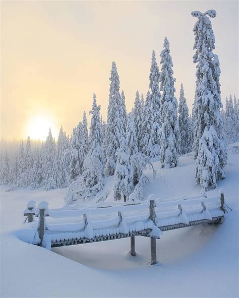 Winter Wonderland In Kongsberg Norway Photograph By Nikonfoto