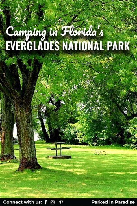 The Best Camping In Everglades National Park In 2023 Review