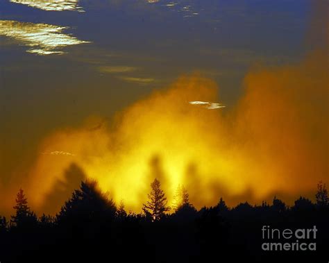 Early Morning Fog Photograph By Sharon Willis Fine Art America