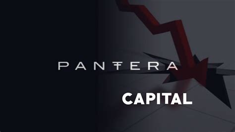 Pantera Capital First Cryptocurrency Hedge Fund Youtube