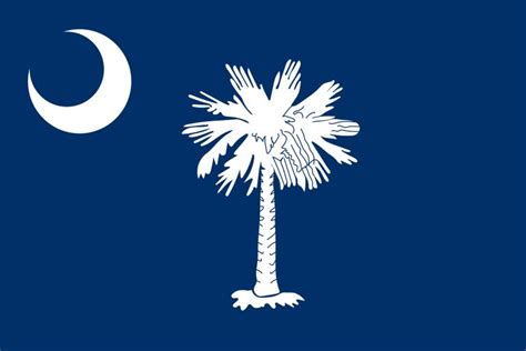 Flag Of South Carolina Image And Meaning South Carolina Flag Country
