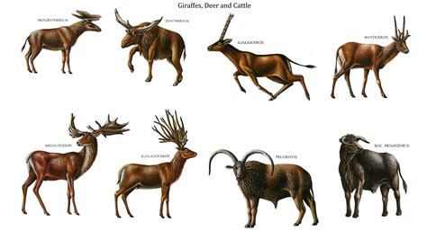 Prehistoric Deer