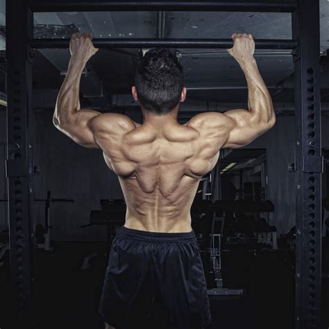 Back Muscle Anatomy Workout Infoupdate Wallpaper Images