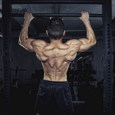 The back is a complex structure of bone and muscle, supported by cartilage, tendons and ligaments, and fed by a network of blood vessels and nerves. Back Muscles Reference / "Struttura Uomo" by Alberto Lolli ...