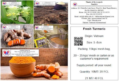 Turmeric Exporters Fresh Turmeric Ngh