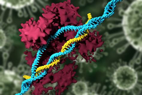 Crispr Carrying Nanoparticles Edit The Genome Mit News