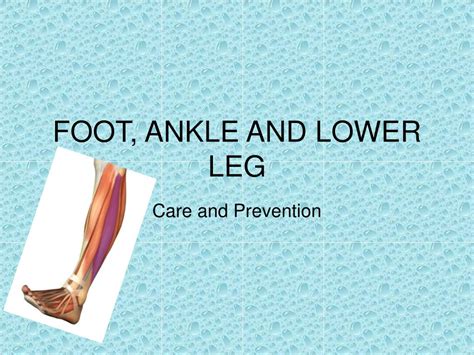 Ppt Foot Ankle And Lower Leg Powerpoint Presentation Free Download