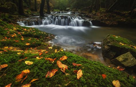 Wallpaper Autumn Forest Leaves Water Stones Waterfall Stream