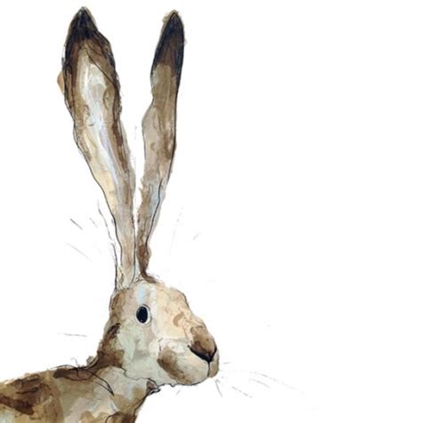 Catherine Rayner Drawings Bunny Art Animal Art