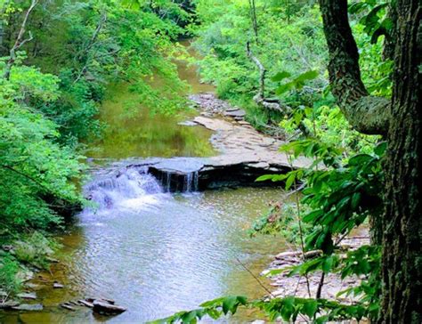 Caesar Creek State Park Best Natural Swimming Holes Near Cincinnati