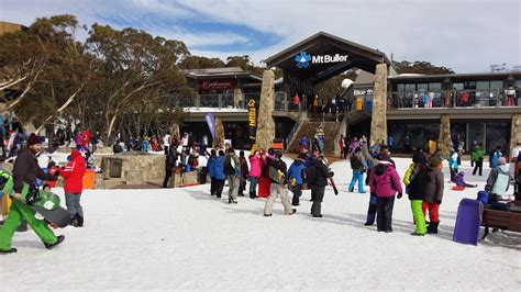Full Day Mount Buller Snow Trip From Melbourne With Entry Adrenaline