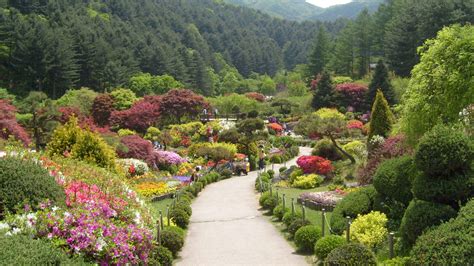 The Garden Of Morning Calm This Is Korea Tours
