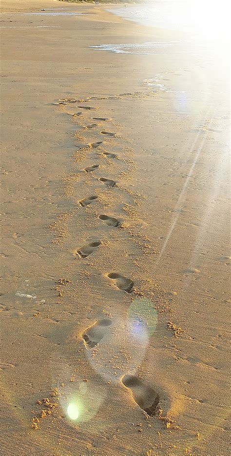 Free Photo Footprints In The Sand Beach Foam Footprints Free Download Jooinn