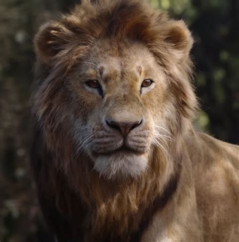 Typically said of or by a man. Here's What The New "Lion King" Characters Look Like ...