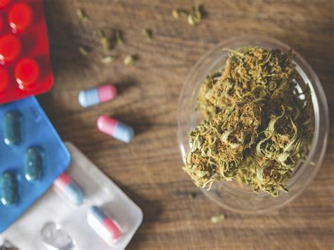 Cannabis Helps Cure Epilepsy; Study Reveals - Technology - Business ...