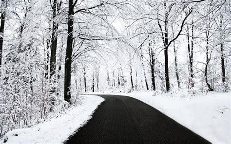 Trees Road Snow Winter Wallpaper Coolwallpapersme