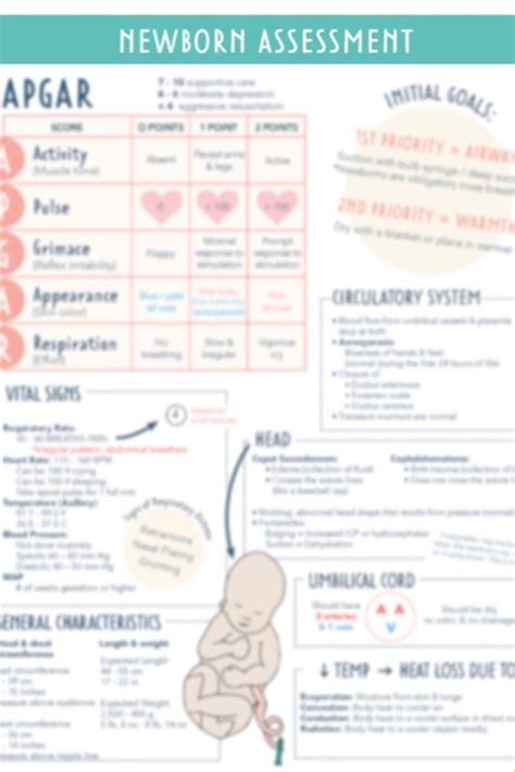 Newborn Assessment Guide 1 Page Etsy In 2021 Newborn Assessment