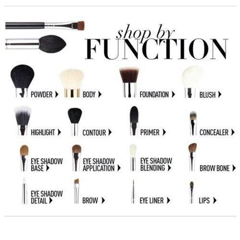 Beauty Tips And Advice — Makeup Brushes 101 Use This Brush Guide To Pick