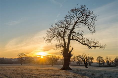 Lone Tree At Sunrise Peter Allen Photography