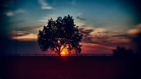 Download Wallpaper 3840x2160 Tree Sunset Clouds Sky