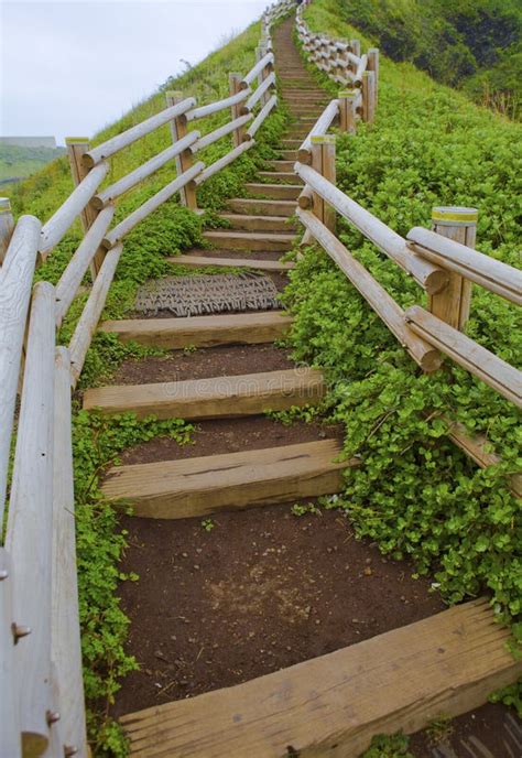 Stairs Up The Hill Stock Image Image Of Symbolic Natural 35340605