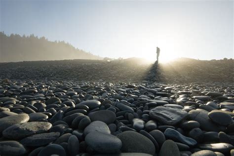 Rays Of Sun Shining Through The Morning Fog On The Olympic Coast