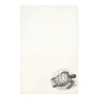 Sea Turtle Stationery Zazzle