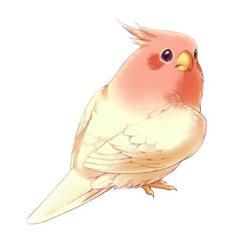 Pink By ~era Artwork On Deviantart Cute Birds Animal Drawings