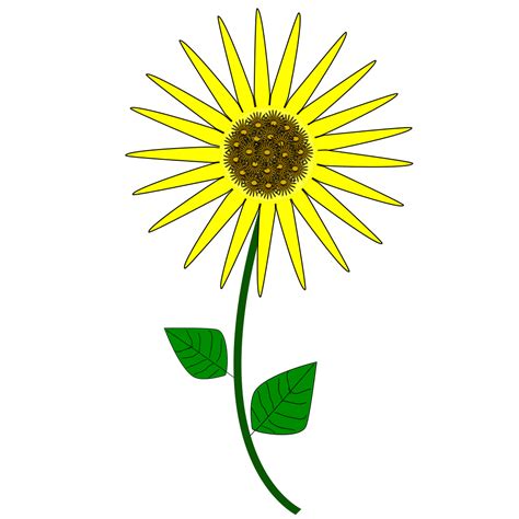 Sunflower Png Svg Clip Art For Web Download Clip Art Png Icon Arts