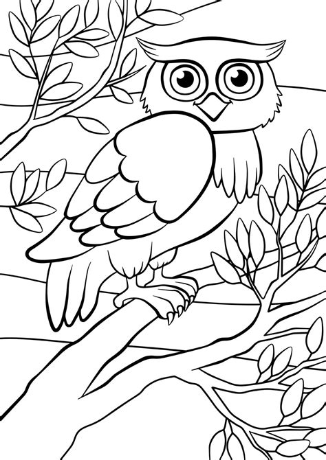 Easy Cute Owl Coloring Pages Canvas Gleep