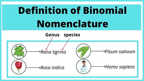 Carl Linnaeus Binomial Nomenclature