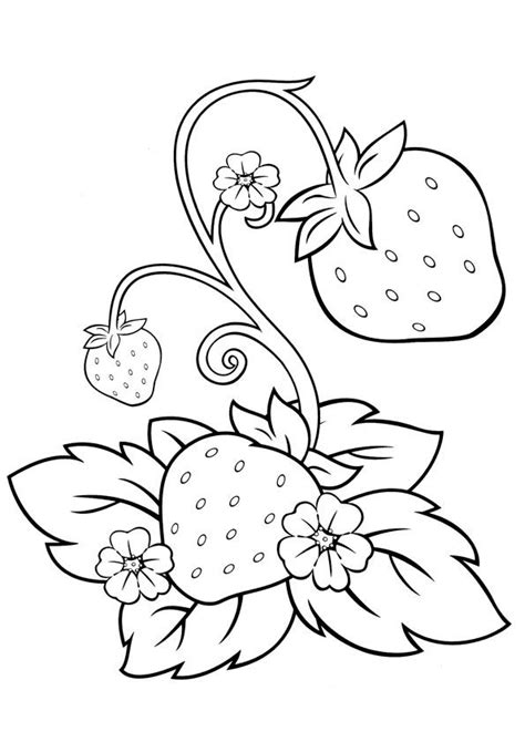 Strawberry Plant Coloring Page For Kids Drawings Fruit Coloring