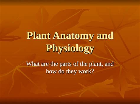 Plant Anatomy And Physiology What Are The Parts Of The Plant And How