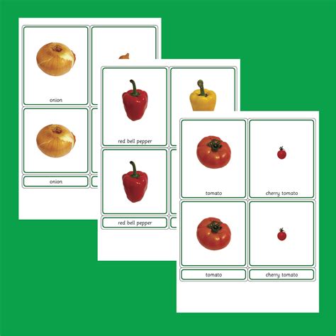 Montessori Classified Cards Flash Cards Three Part Cards Etsy