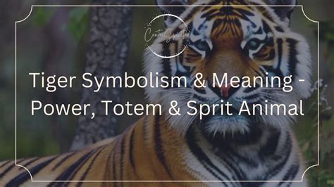 Tiger Symbolism And Meaning Power Totem And Sprit Animal