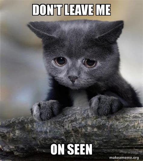 Dont Leave Me On Seen Confession Cat Make A Meme
