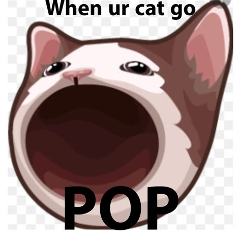 Pop Cat 1080x1080 Pop Pop Cat Meme Youtube Baby Cats Are Amazing